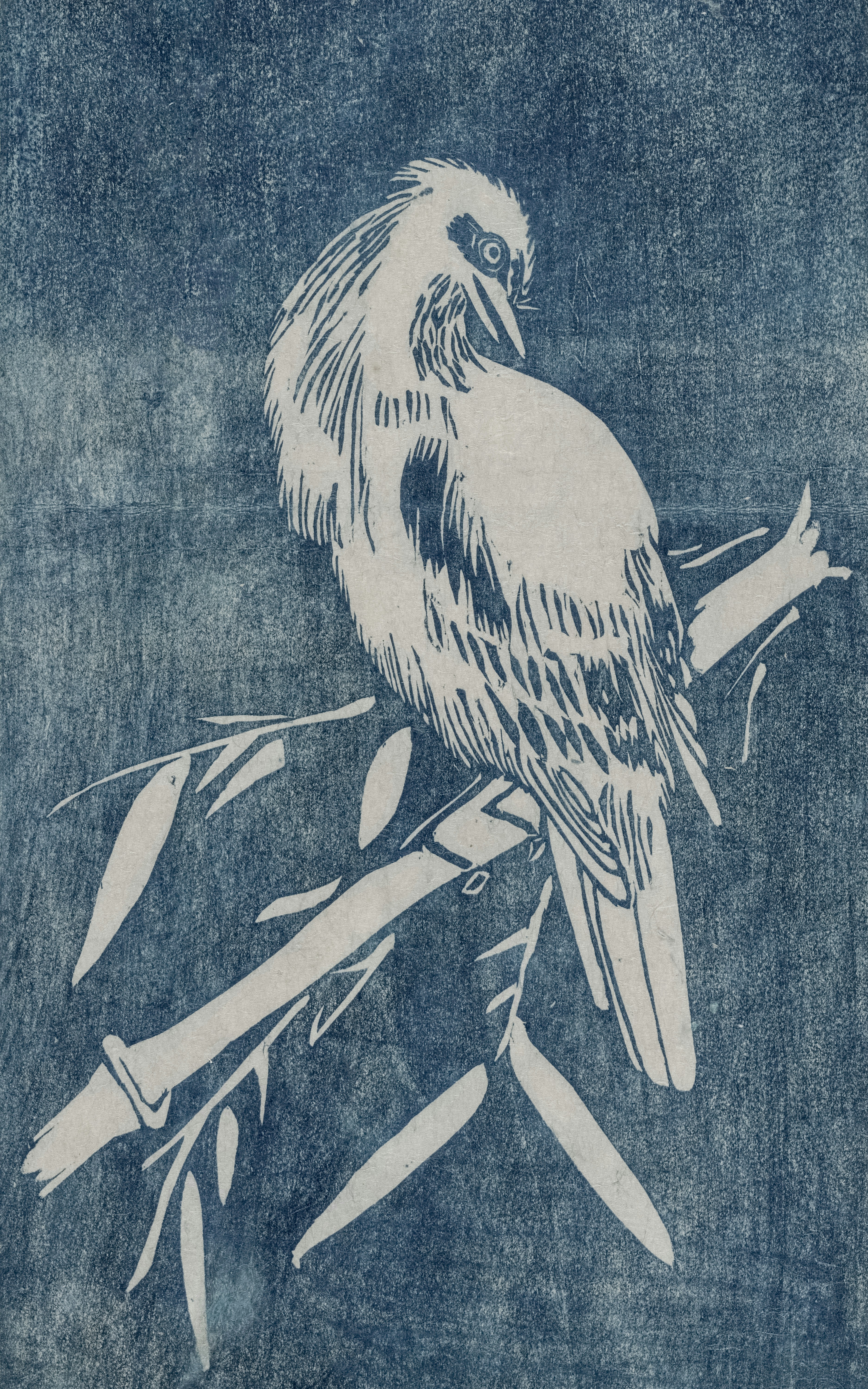 a drawing of a bird sitting on a branch