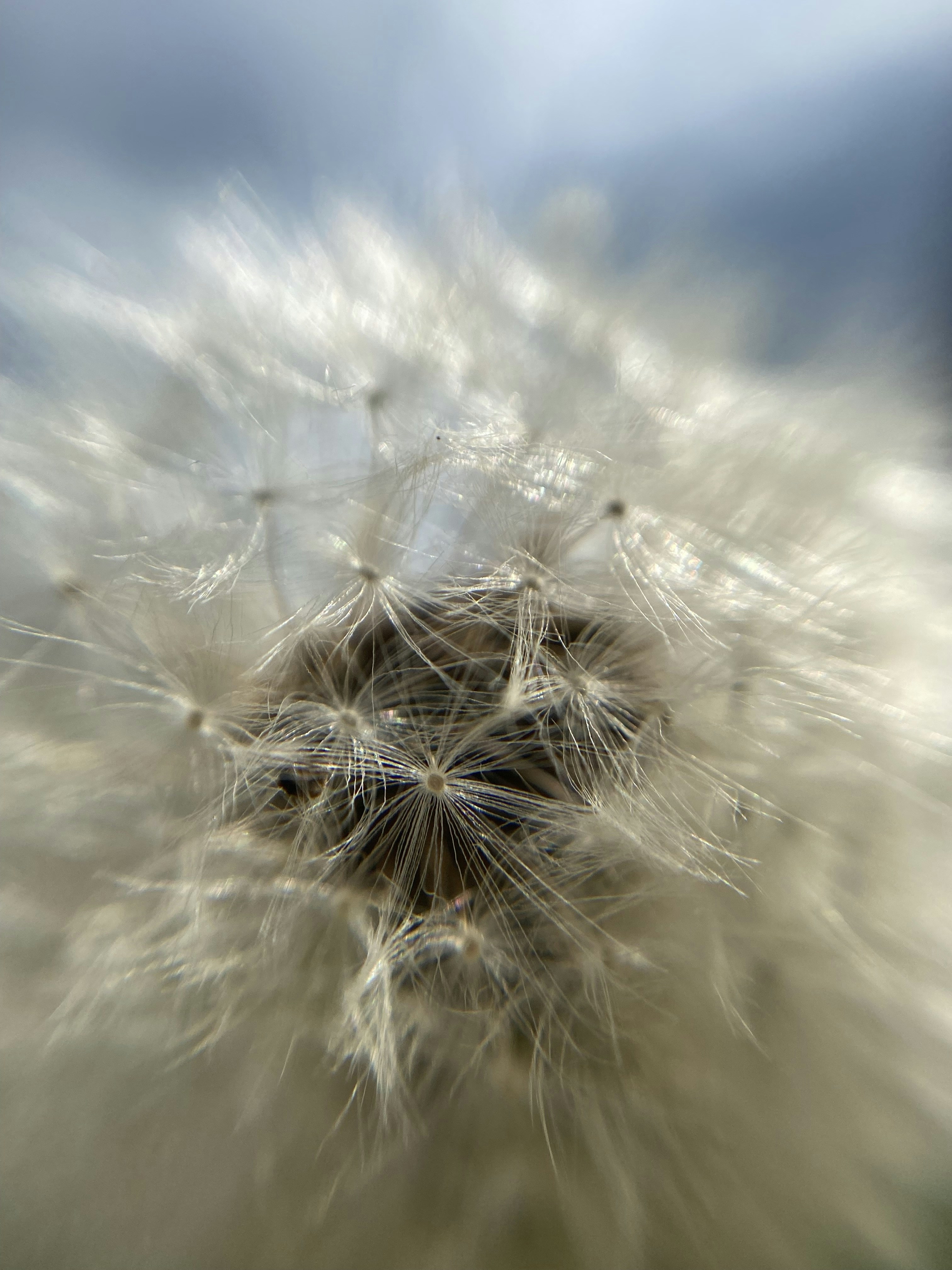 Photo by victoriab13