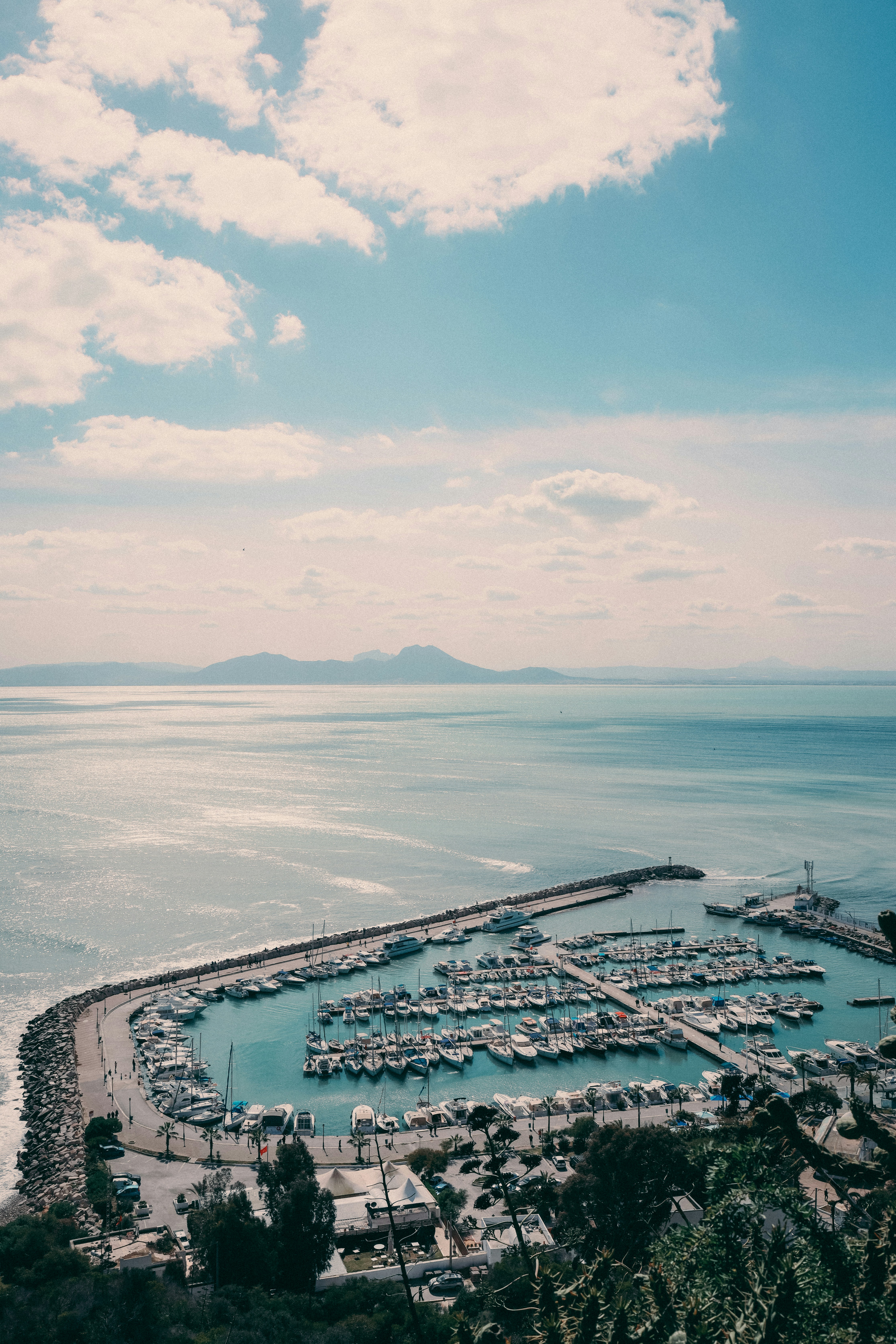 Photo by himo_beast1996