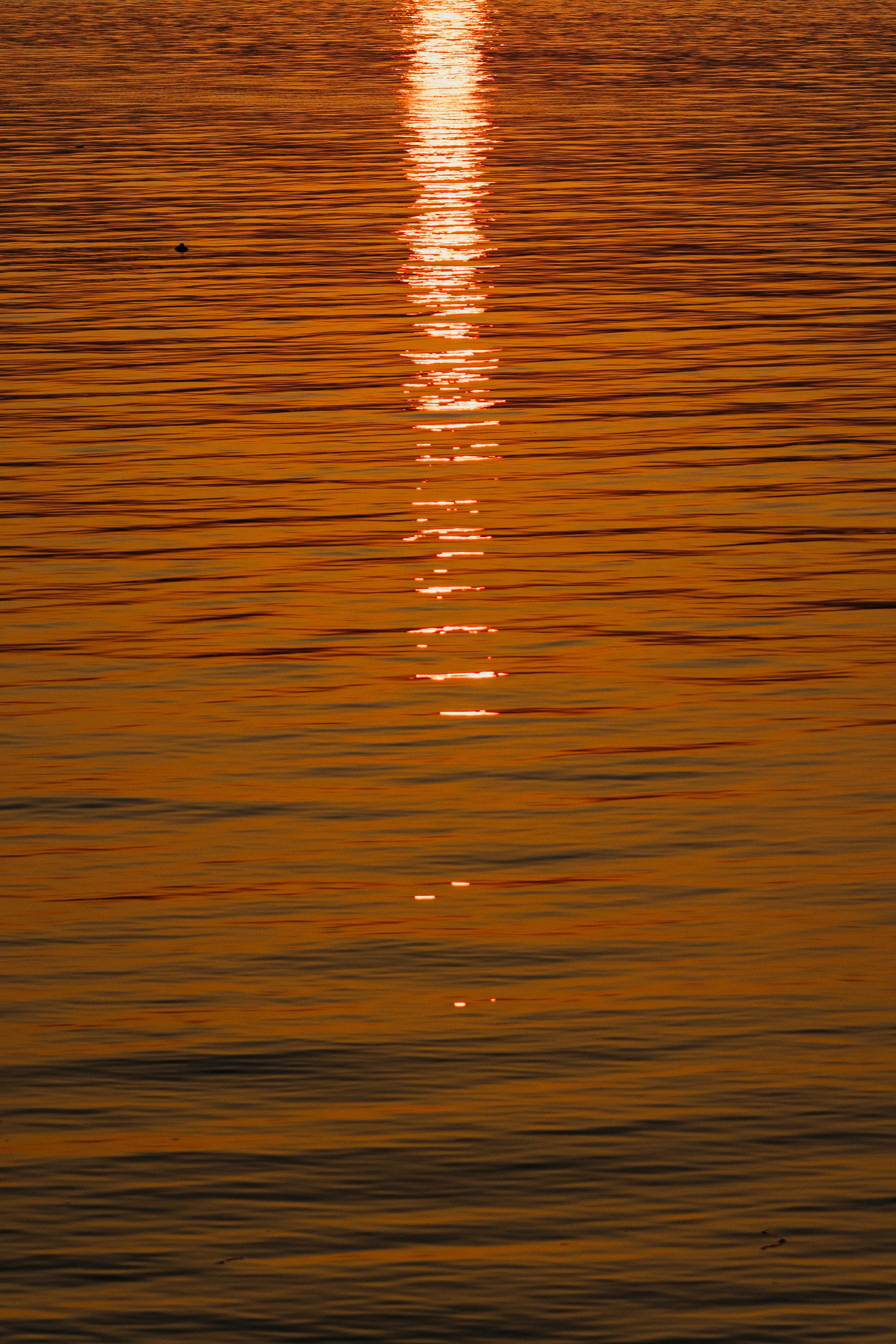 Photo by connecting_seoul