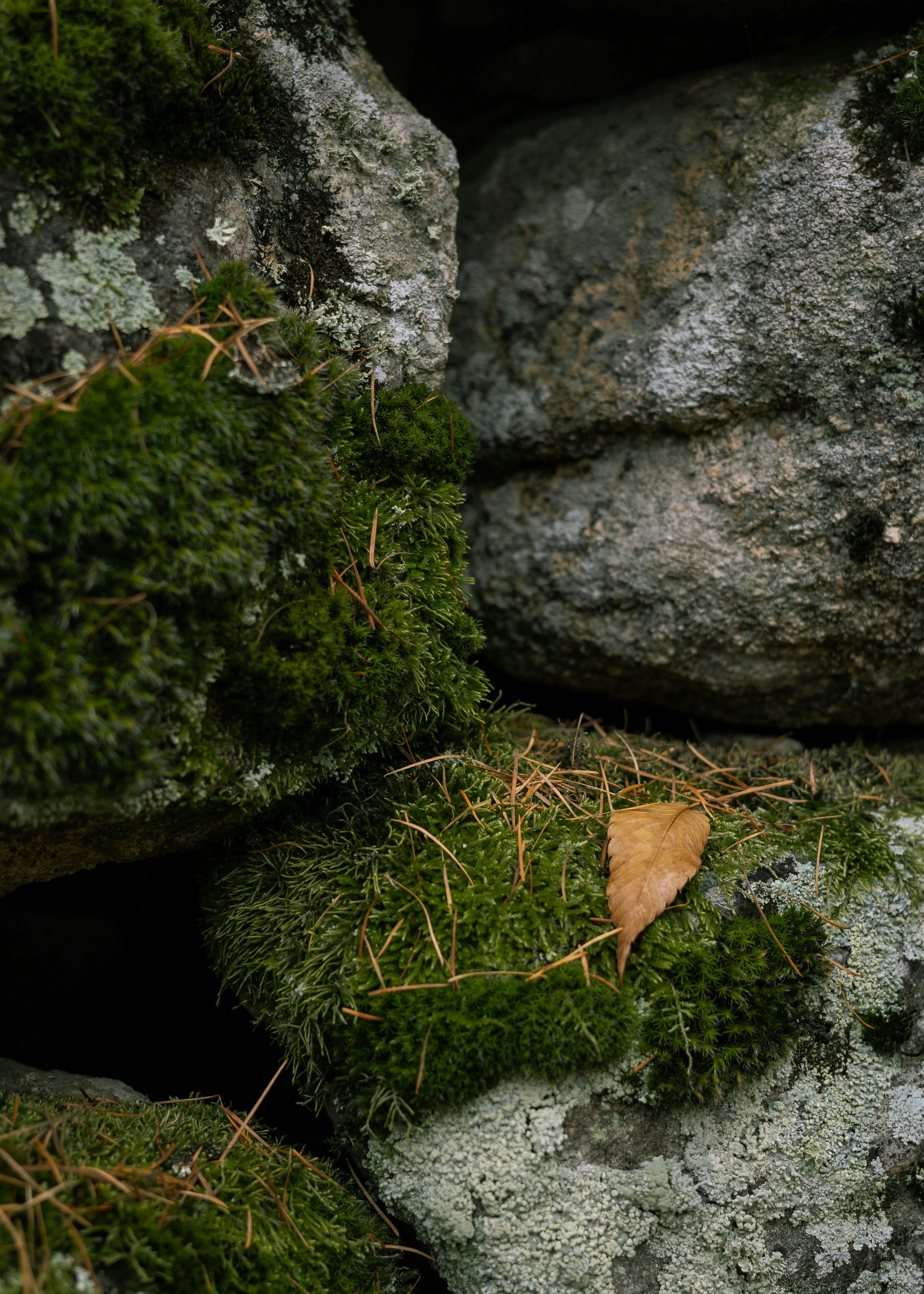 Photo by connecting_seoul