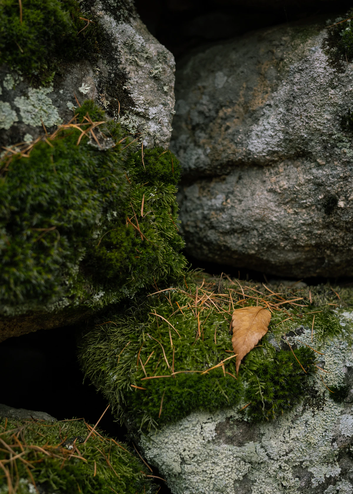 Old Wall