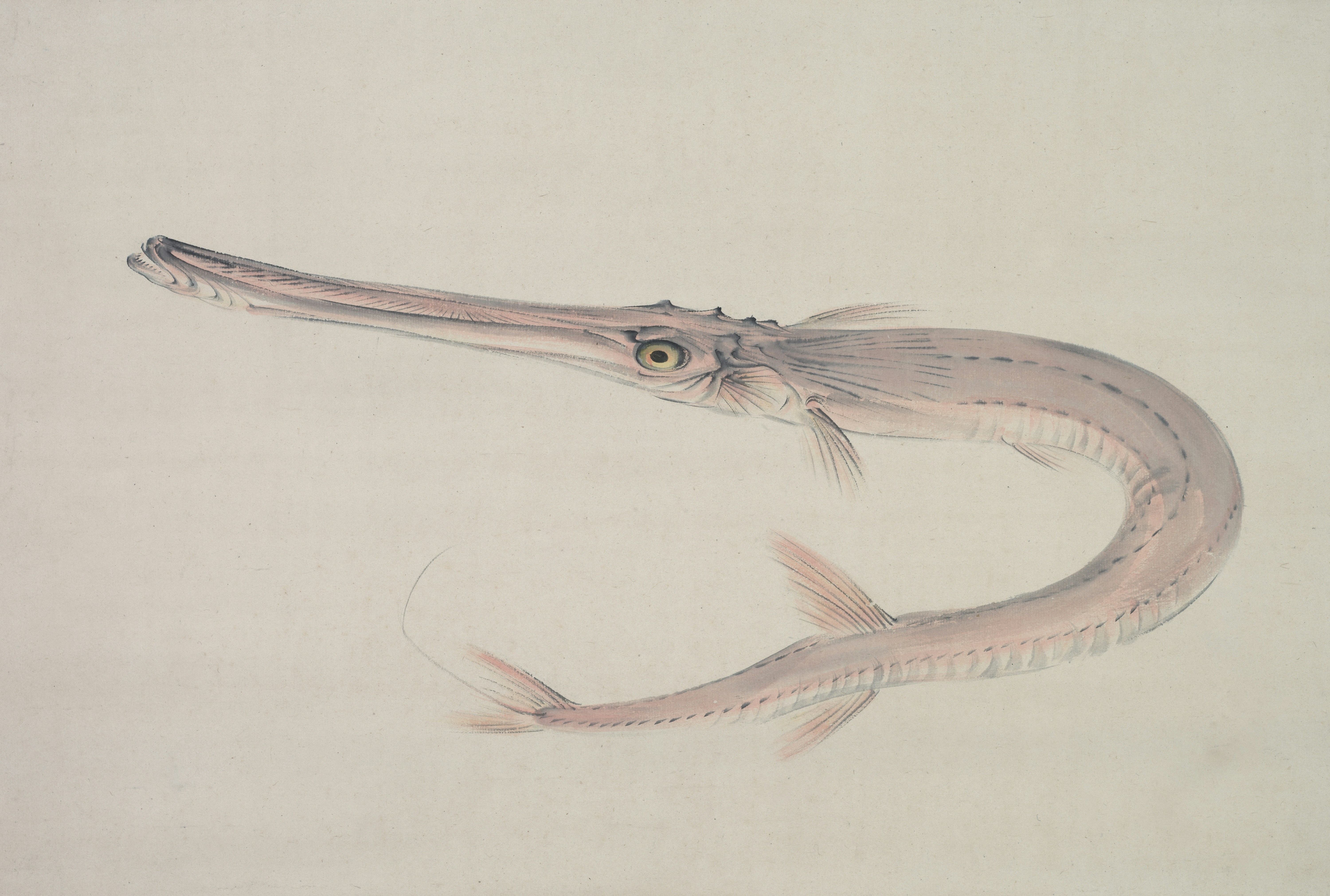 Photo by clevelandart