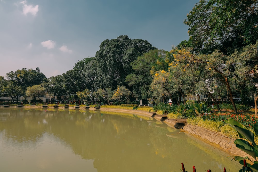 a pond in a park with trees in the background