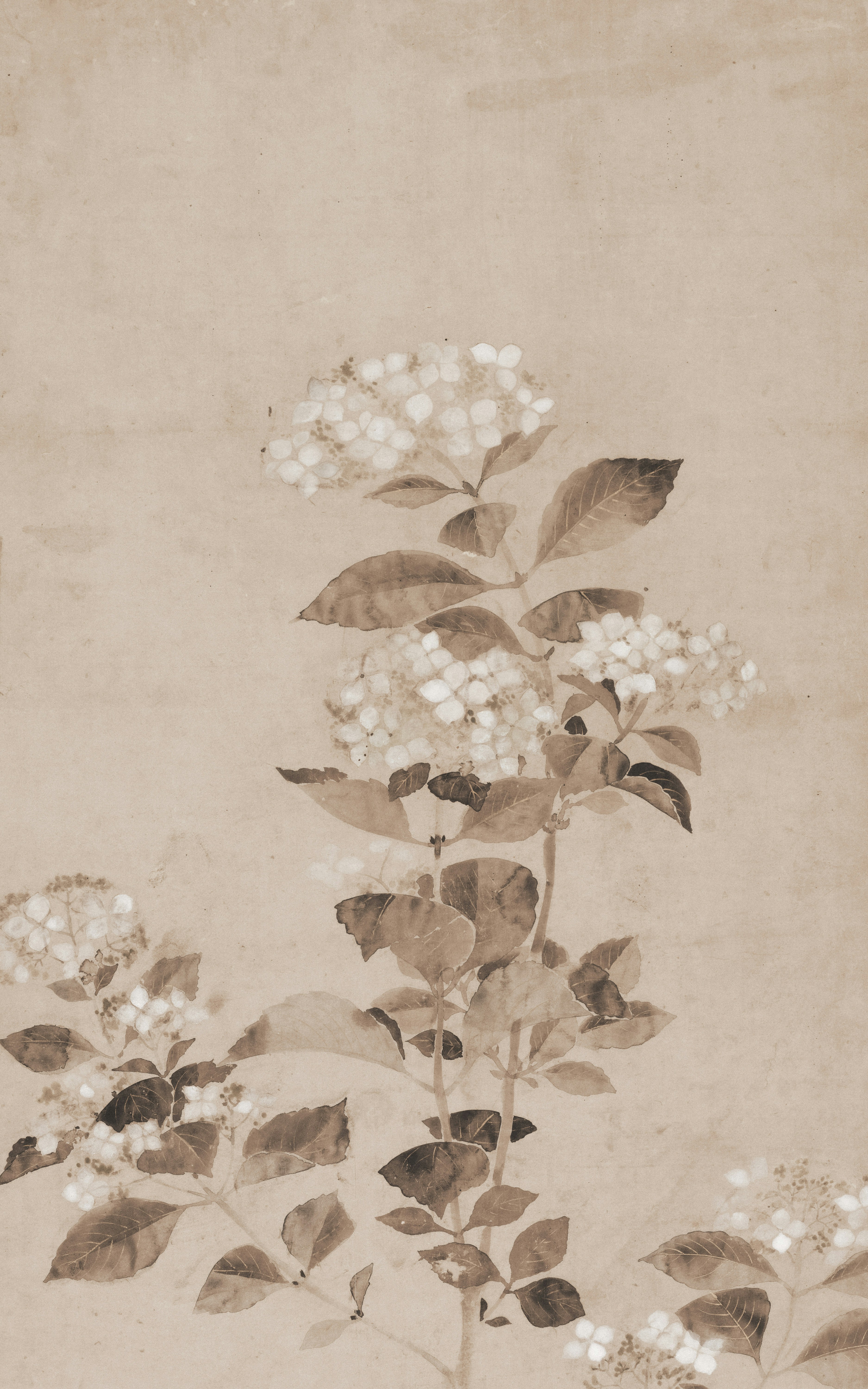 Photo by clevelandart