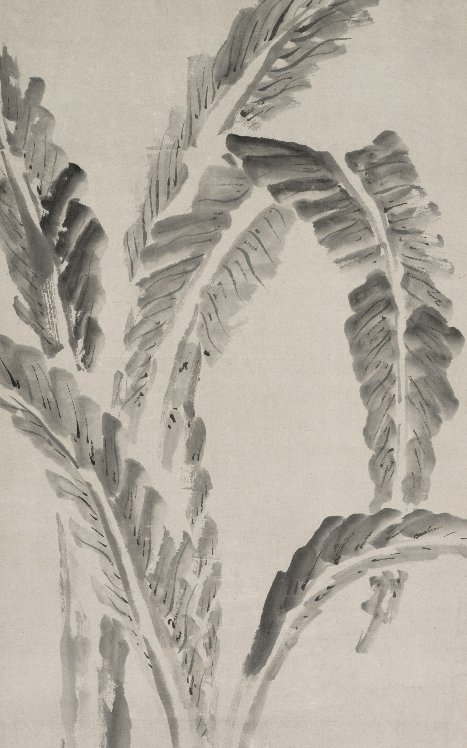 black and white bed linen