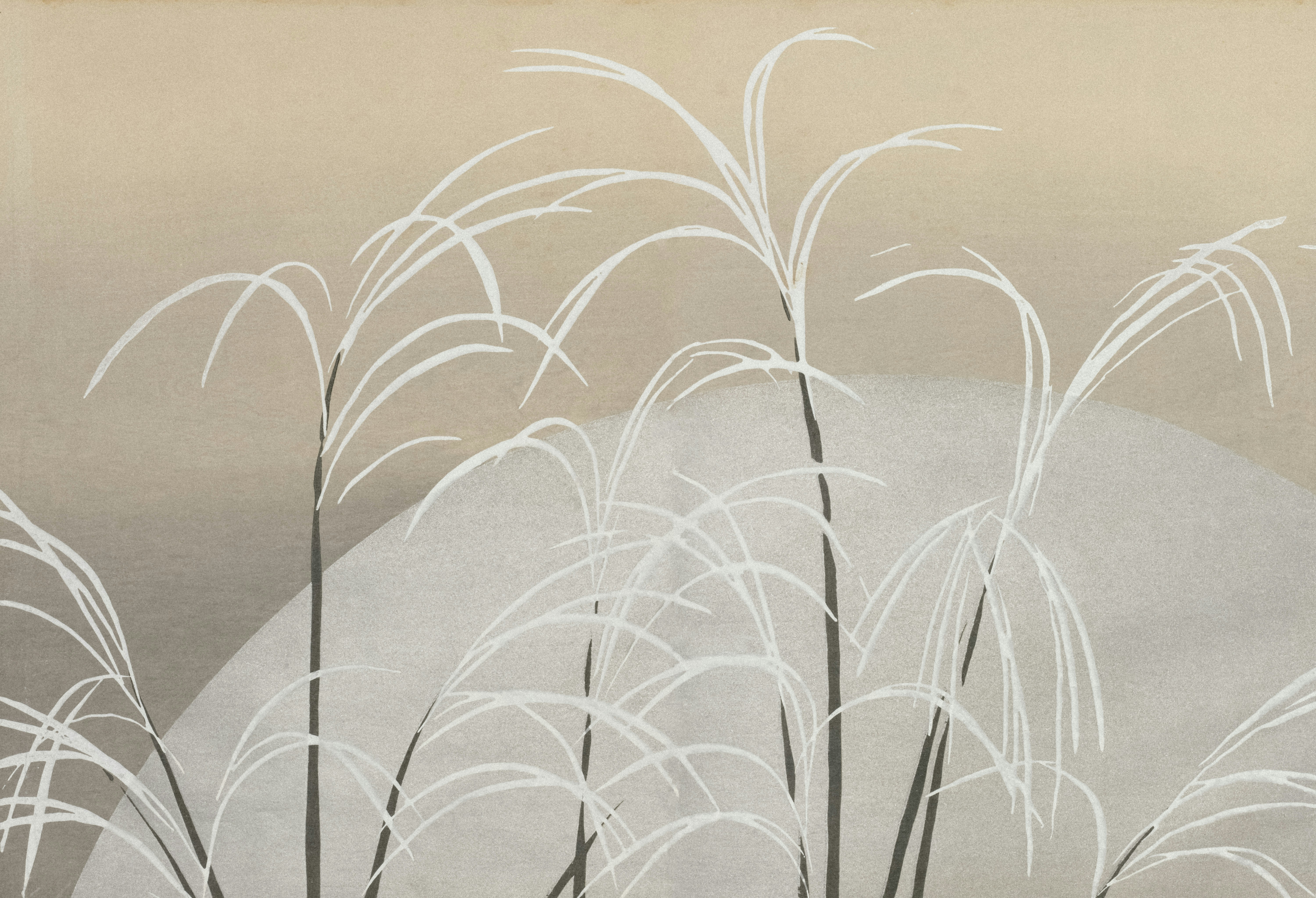 Photo by clevelandart