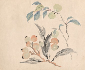 A delicate watercolor painting depicting a branch with leaves and round fruit. The leaves show soft blue and green hues, and the fruits are a blend of light orange and green. The branches are painted in a subtle gray, giving a serene and natural look against a beige background.