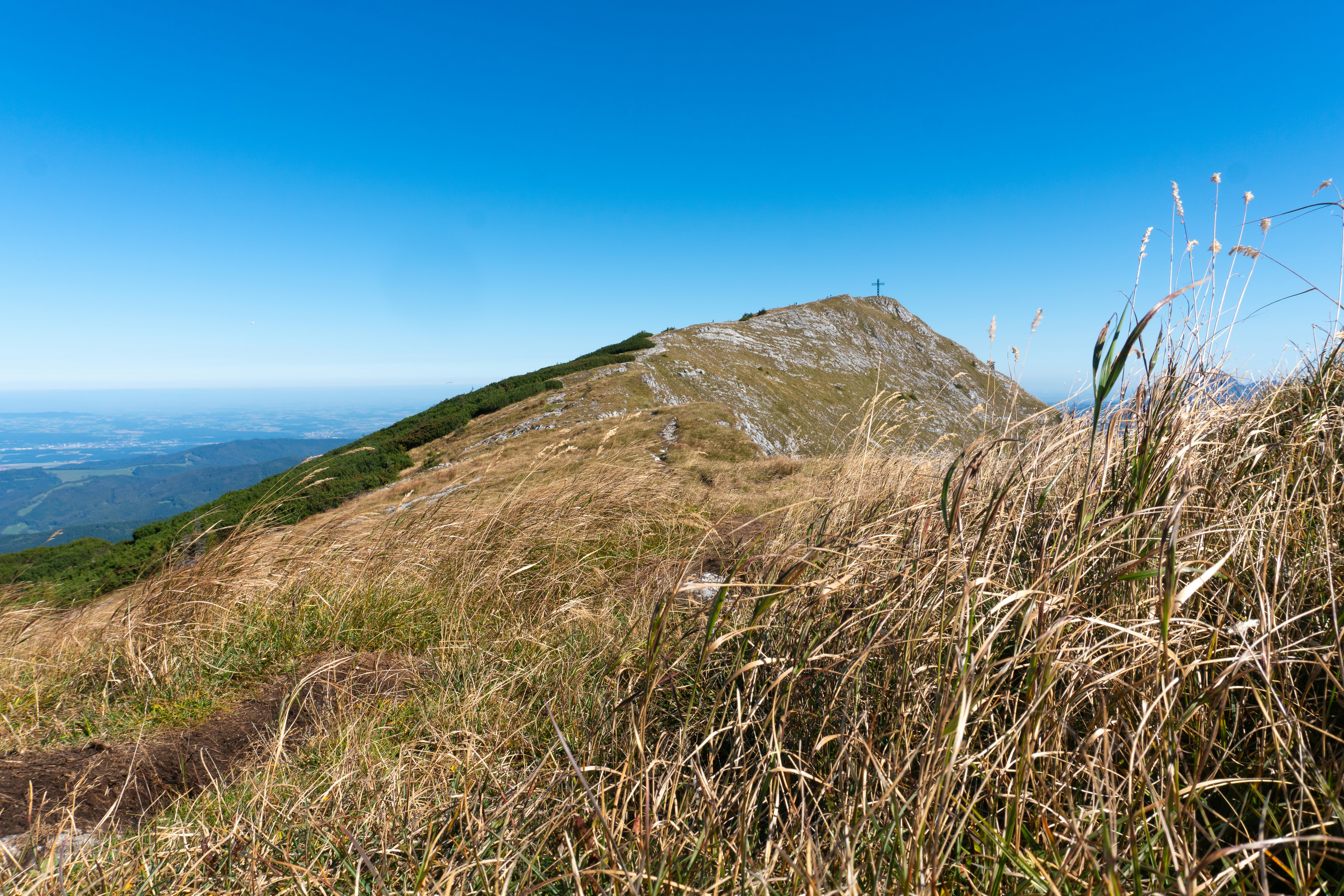 Photo by digital_m_art_in