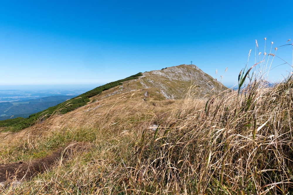 a grassy hill with a hill in the background