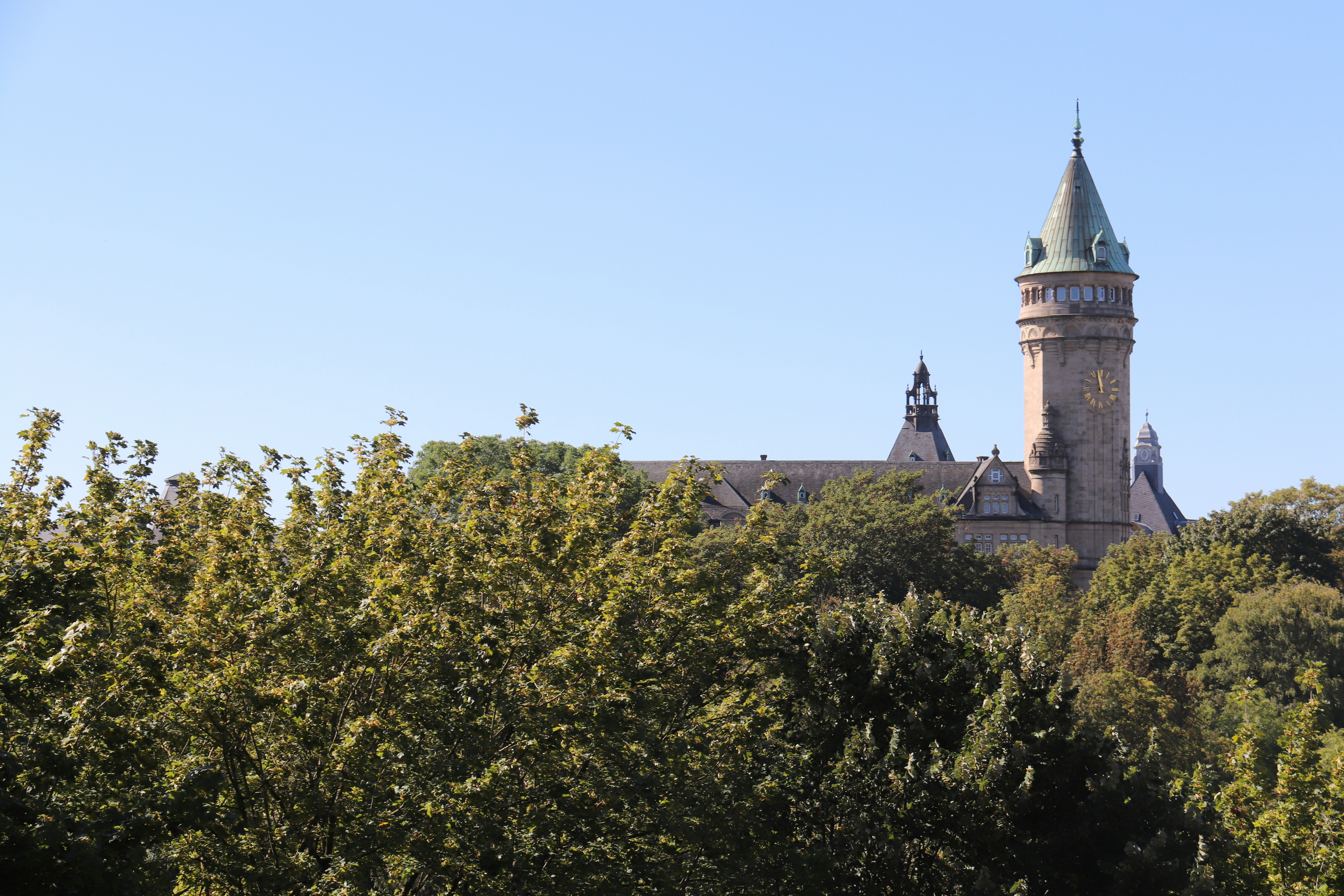 Photo by shalevcohen