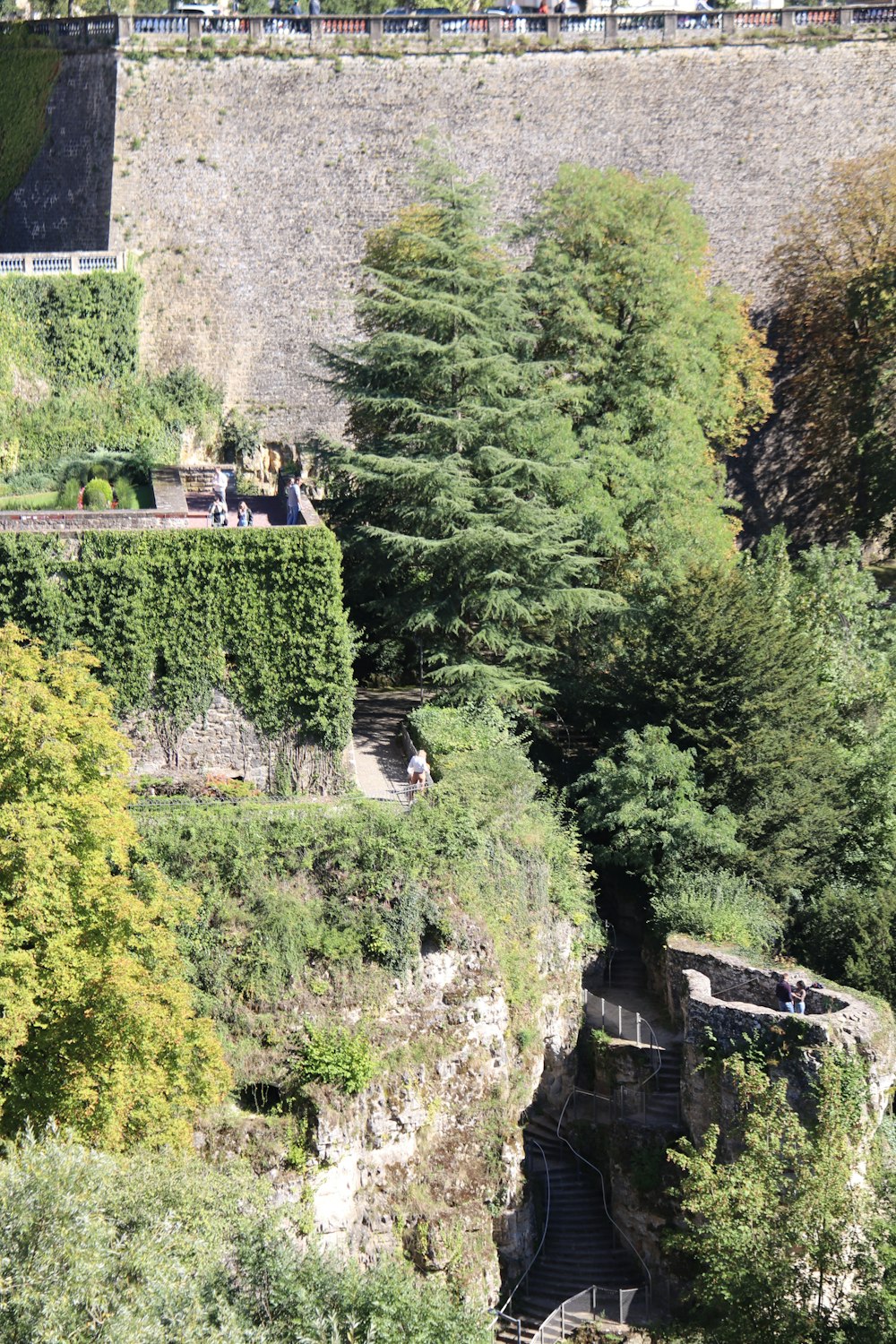 Un tren que viaja por una vía de tren junto a una exuberante ladera verde