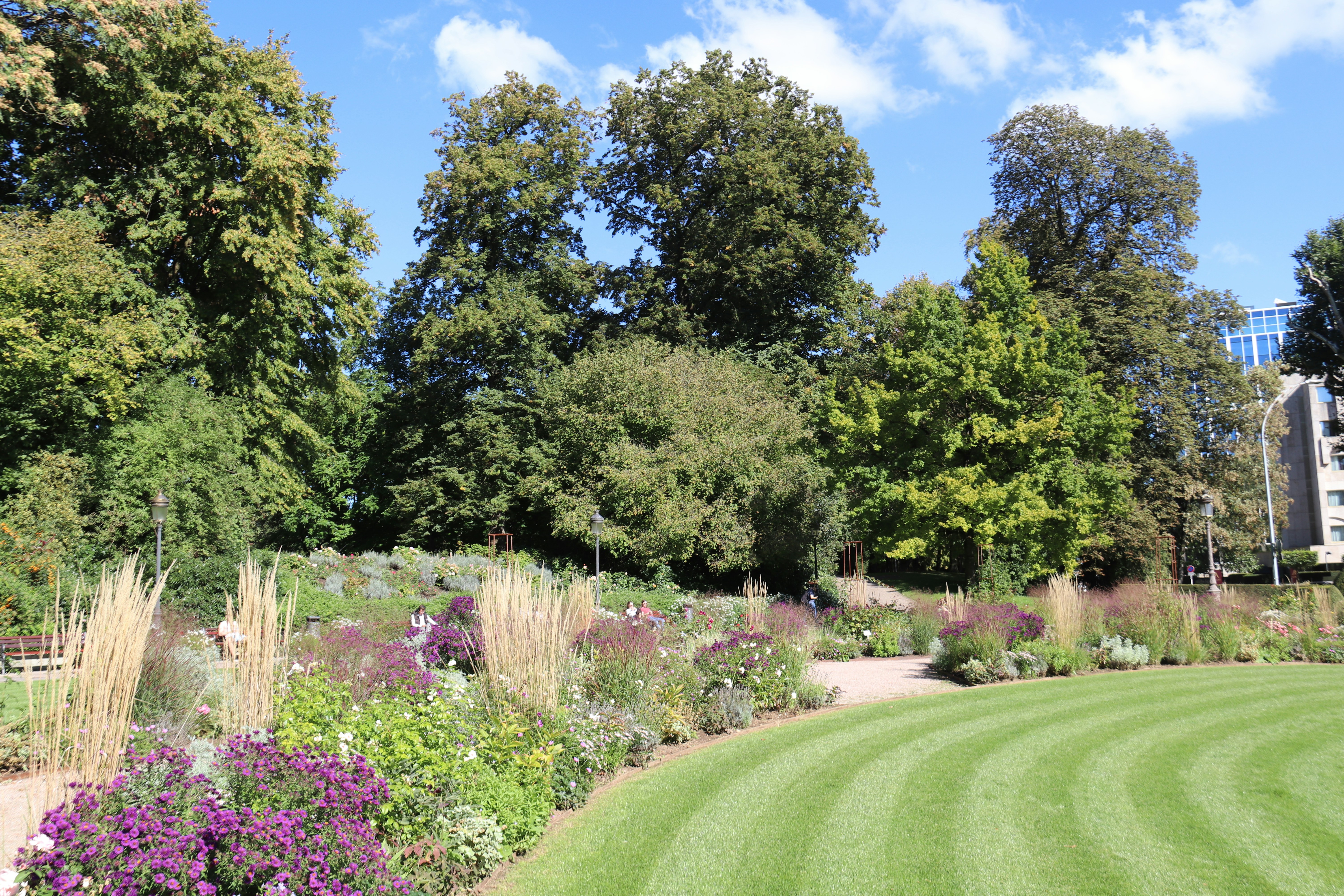 Photo by shalevcohen