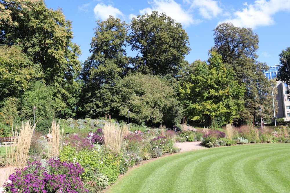 a lush green lawn surrounded by trees and flowers