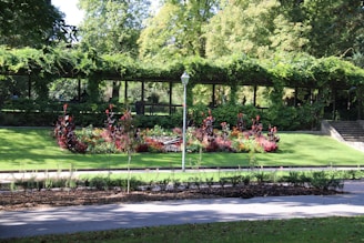 A well-maintained garden with vibrant flower beds, a neatly trimmed lawn, and a pergola covered with green vines. There is a paved pathway and a street lamp in the foreground, and steps leading up to another section of the garden on the right.