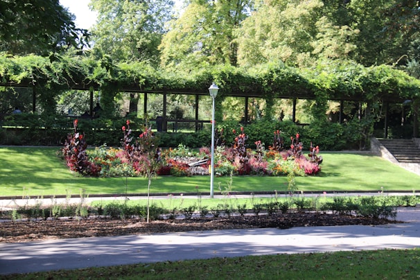A well-maintained garden with vibrant flower beds, a neatly trimmed lawn, and a pergola covered with green vines. There is a paved pathway and a street lamp in the foreground, and steps leading up to another section of the garden on the right.