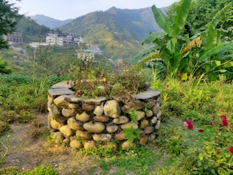 A stone well surrounded by green vegetation and flowering plants is set in the foreground. In the background, there are rolling hills with buildings and trees dotting the landscape. The sky is clear, contributing to a serene outdoor scene.