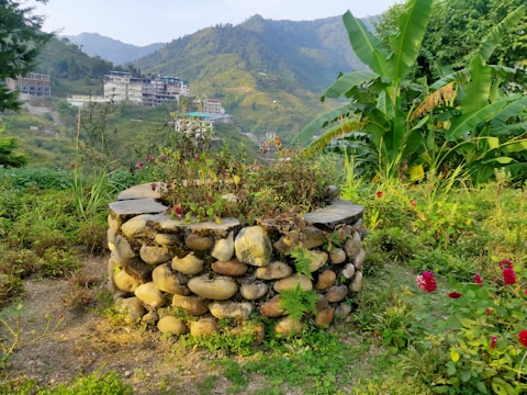 Finished artesian well surrounded by green vegetation.