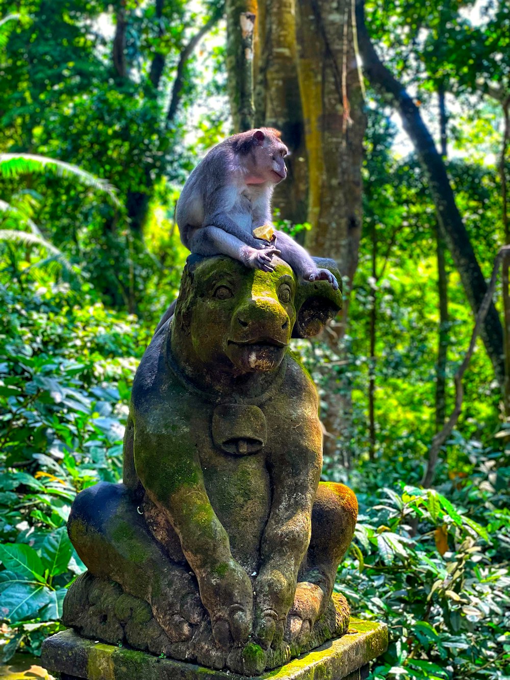 a monkey sitting on top of a statue in the middle of a forest