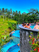 A tranquil infinity pool overlooking the vibrant rice terraces of Ubud at sunset.