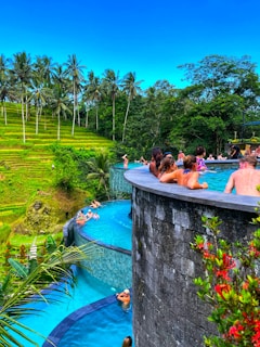 A multi-level infinity pool nestled amidst lush green palm trees and rice terraces. People relax and swim in the serene blue water under a clear blue sky, while others lean on the pool's edge. The surrounding tropical landscape enhances the tranquil setting.