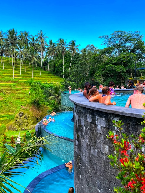 A multi-level infinity pool nestled amidst lush green palm trees and rice terraces. People relax and swim in the serene blue water under a clear blue sky, while others lean on the pool's edge. The surrounding tropical landscape enhances the tranquil setting.