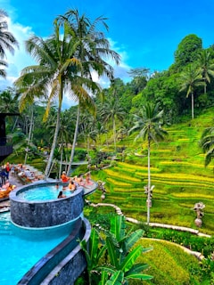 A tropical scene with a lush green landscape featuring terraced rice fields and tall palm trees. In the foreground, there is an infinity pool filled with people relaxing and enjoying the view. The vibrant greenery and clear blue sky create a picturesque setting.