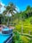 A tropical scene with a lush green landscape featuring terraced rice fields and tall palm trees. In the foreground, there is an infinity pool filled with people relaxing and enjoying the view. The vibrant greenery and clear blue sky create a picturesque setting.