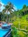 A tropical scene with a lush green landscape featuring terraced rice fields and tall palm trees. In the foreground, there is an infinity pool filled with people relaxing and enjoying the view. The vibrant greenery and clear blue sky create a picturesque setting.