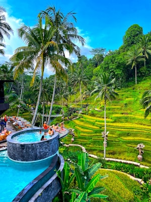 A tropical scene with a lush green landscape featuring terraced rice fields and tall palm trees. In the foreground, there is an infinity pool filled with people relaxing and enjoying the view. The vibrant greenery and clear blue sky create a picturesque setting.
