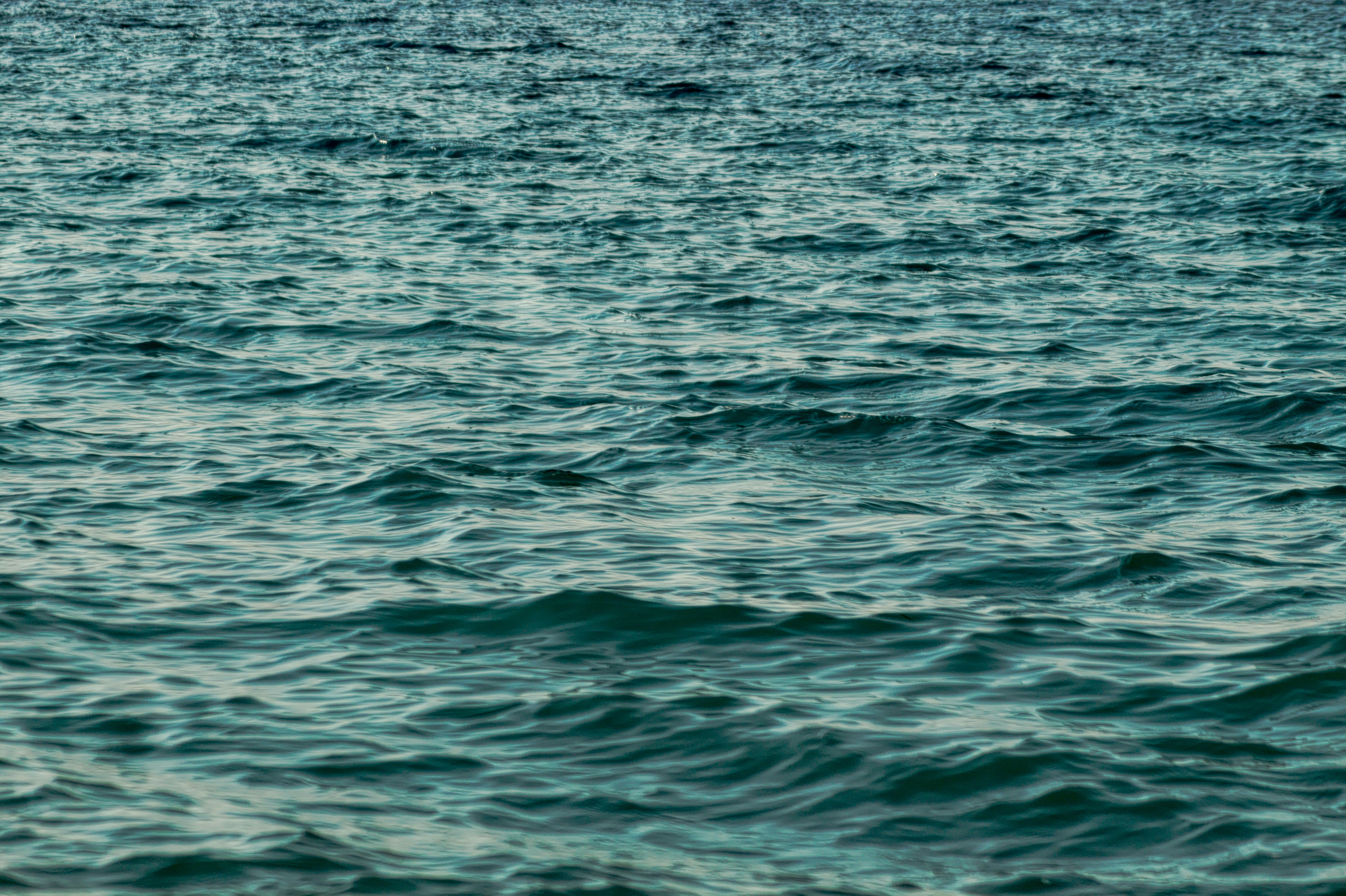 Photo by nick_tiam_photography