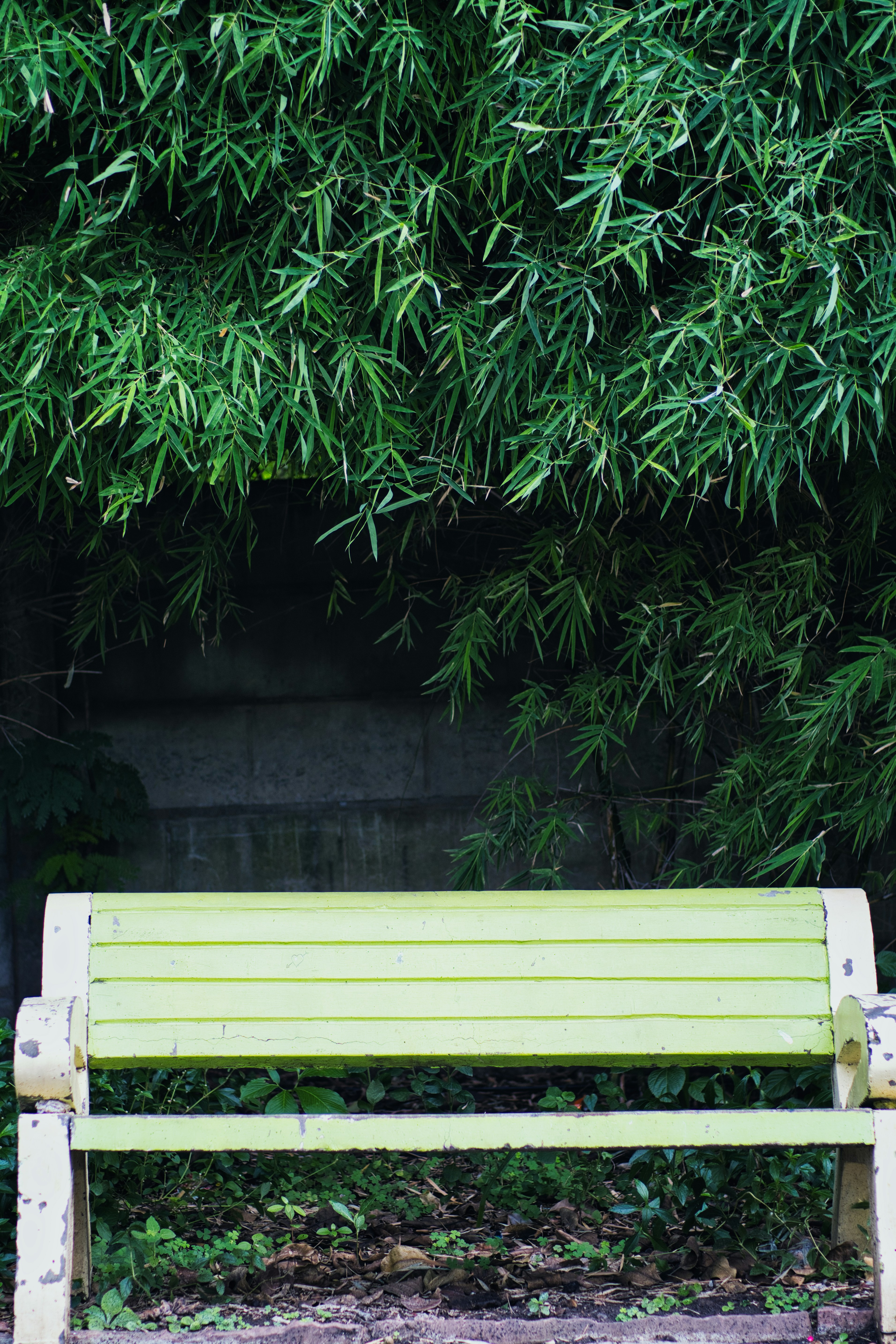 Photo by vivek_wildchild