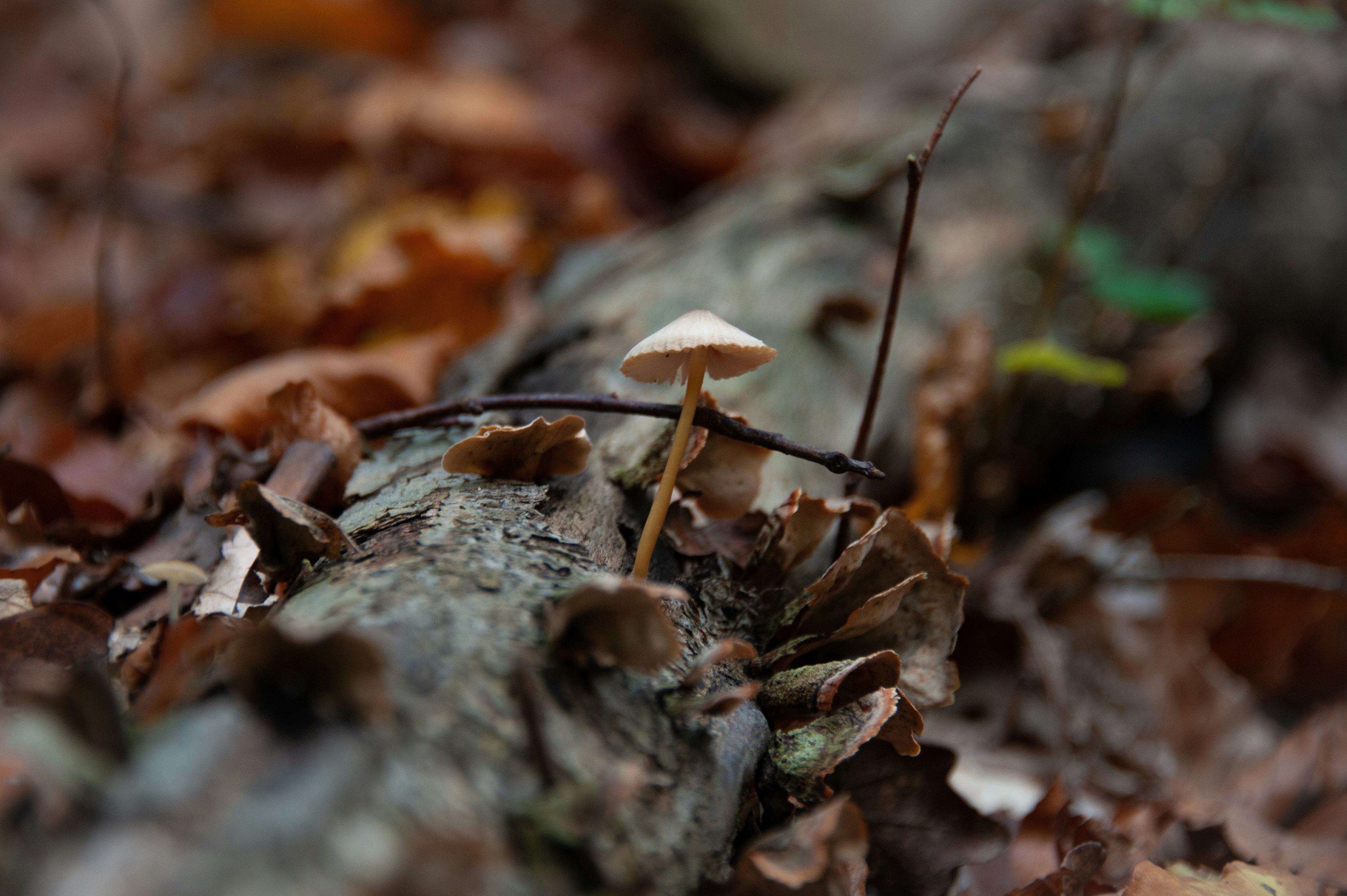 Photo by rrricharddd