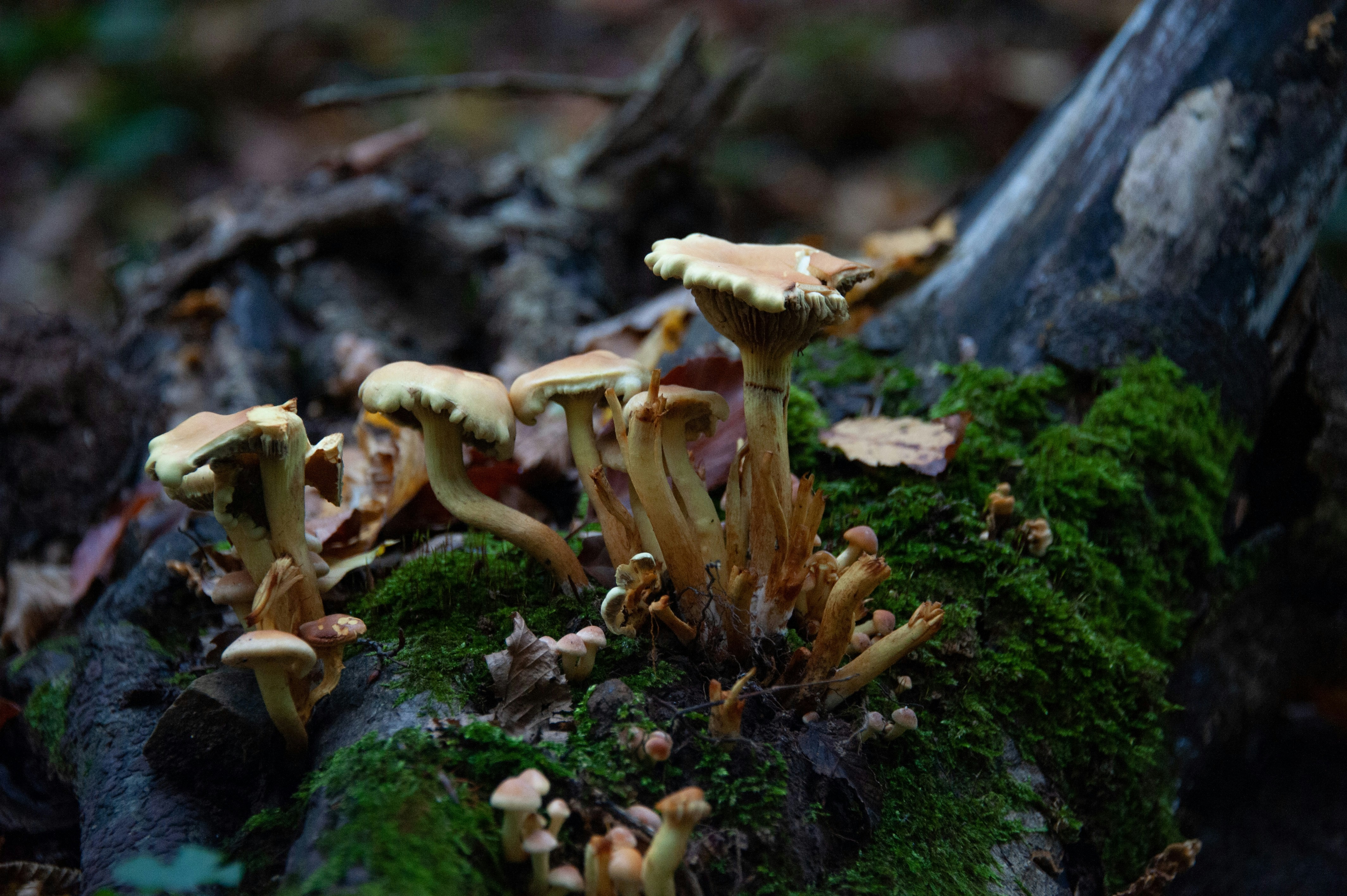 Photo by rrricharddd