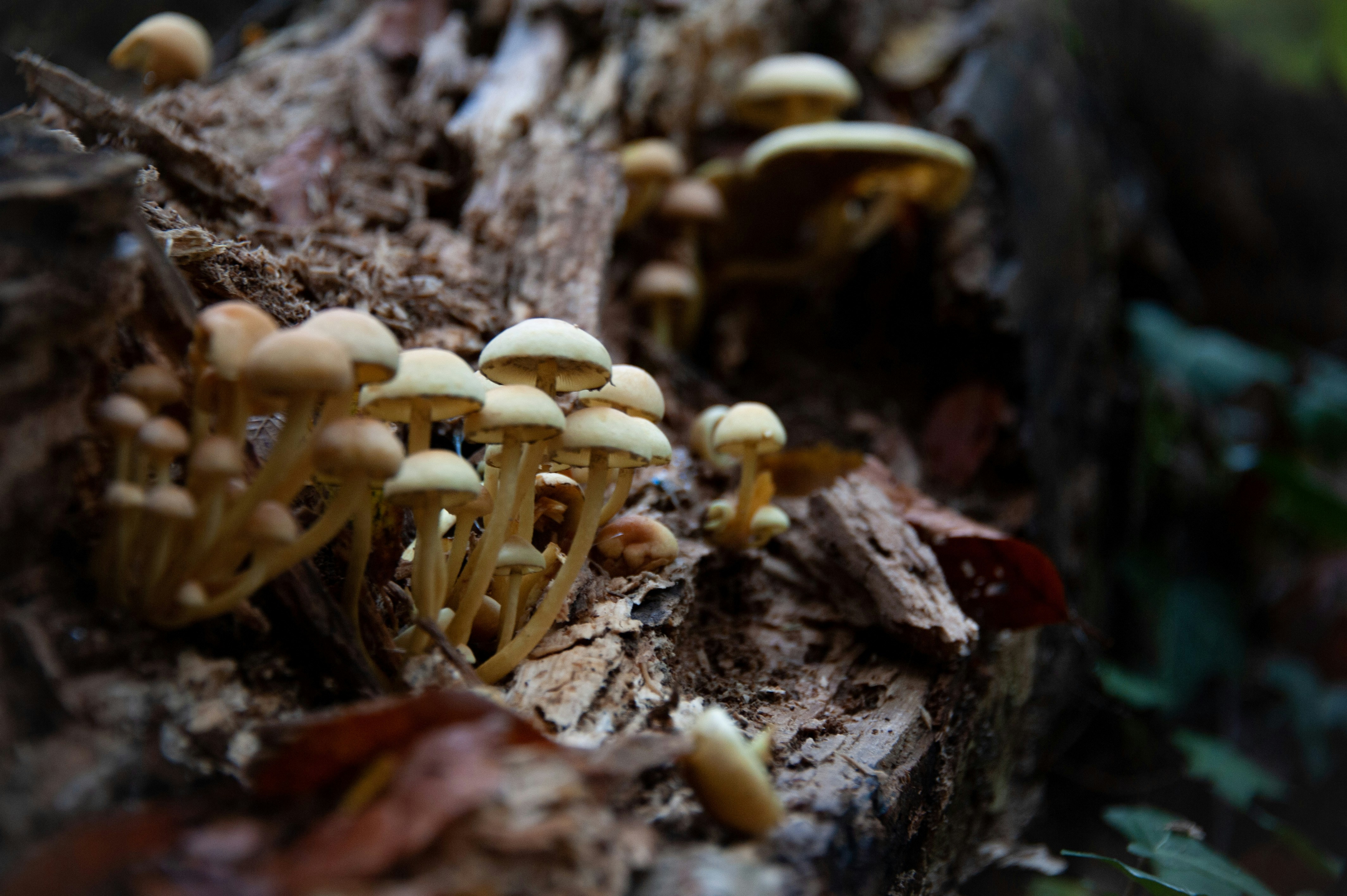 Photo by rrricharddd