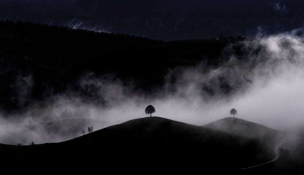 a hill covered in fog with trees on top of it