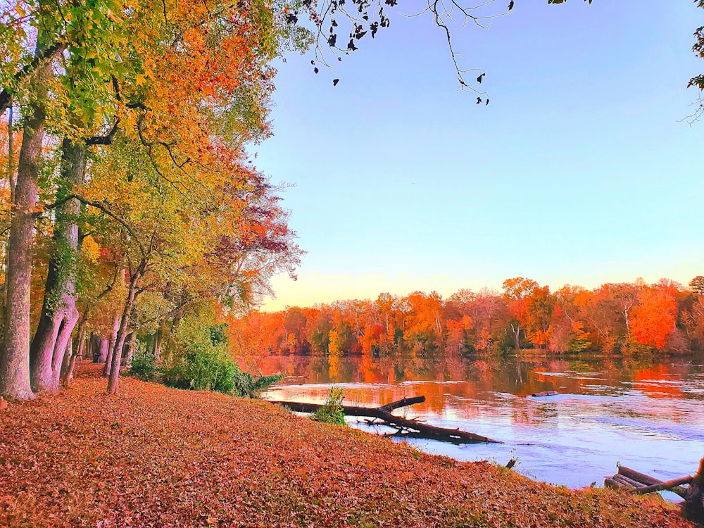 a lake surrounded by lots of trees in the fall