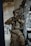 A soldier in full camouflage gear is holding a rifle inside a room with peeling paint and graffiti on the walls. The soldier is wearing tactical gear and a helmet, appearing alert and ready for action.