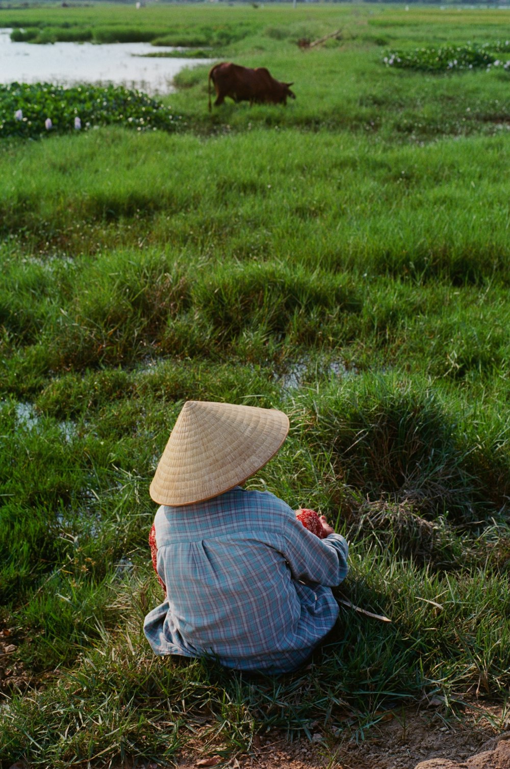 a person with a straw hat sitting on the ground