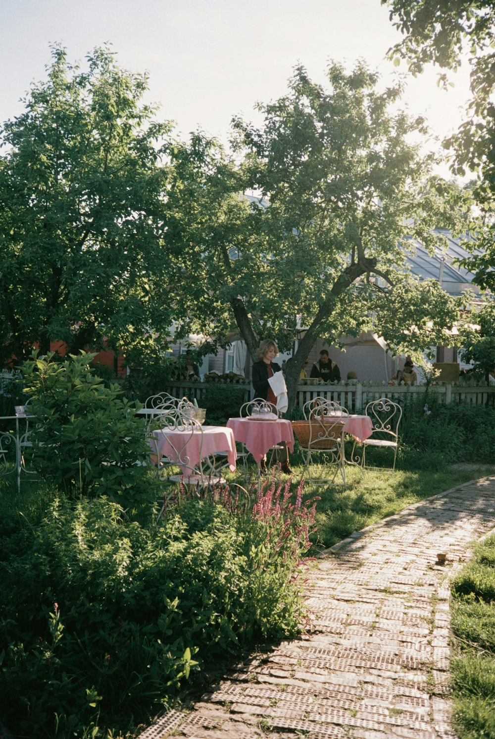 a couple of people sitting at a table under a tree