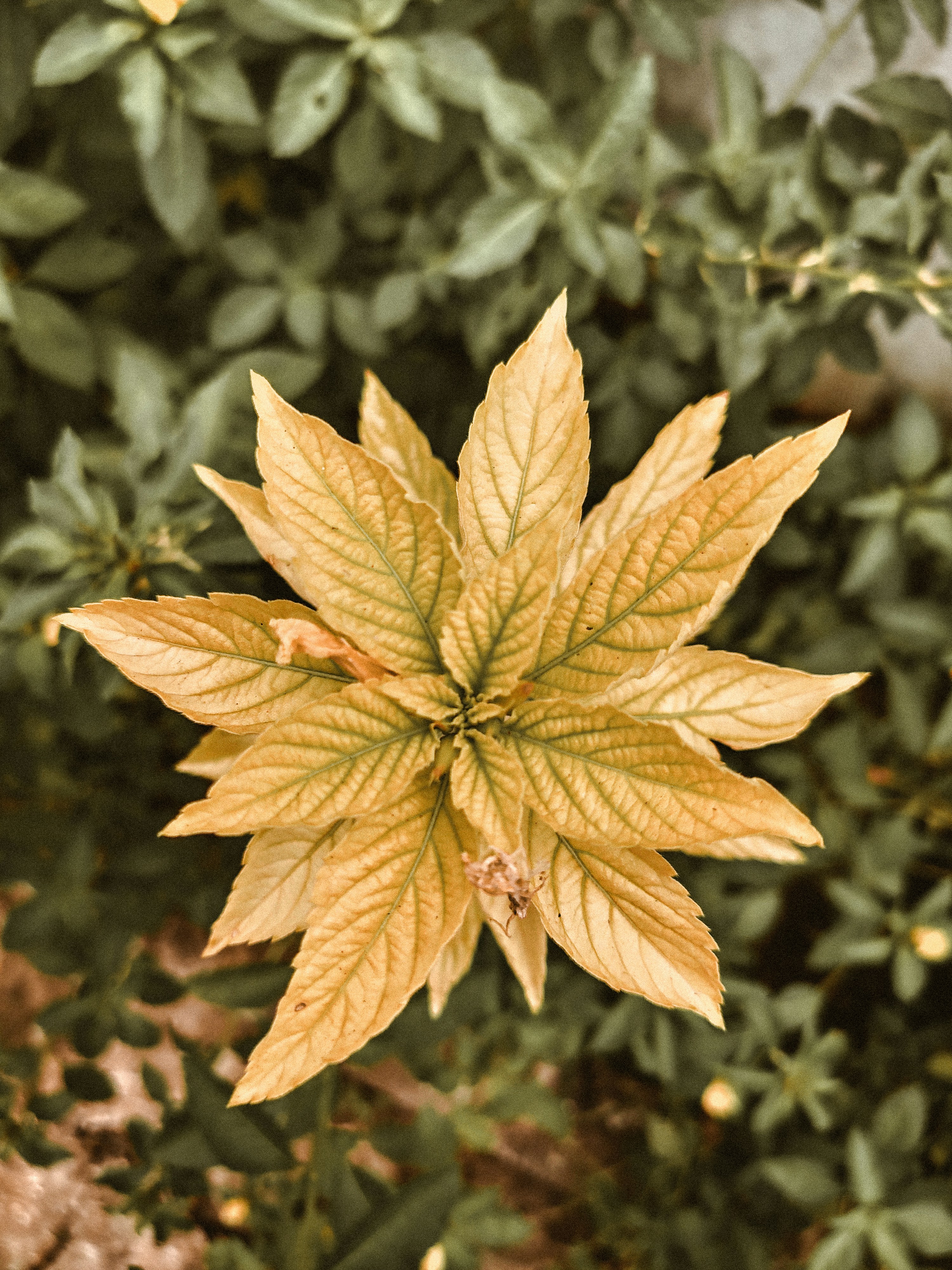 Photo by jealife_pictures