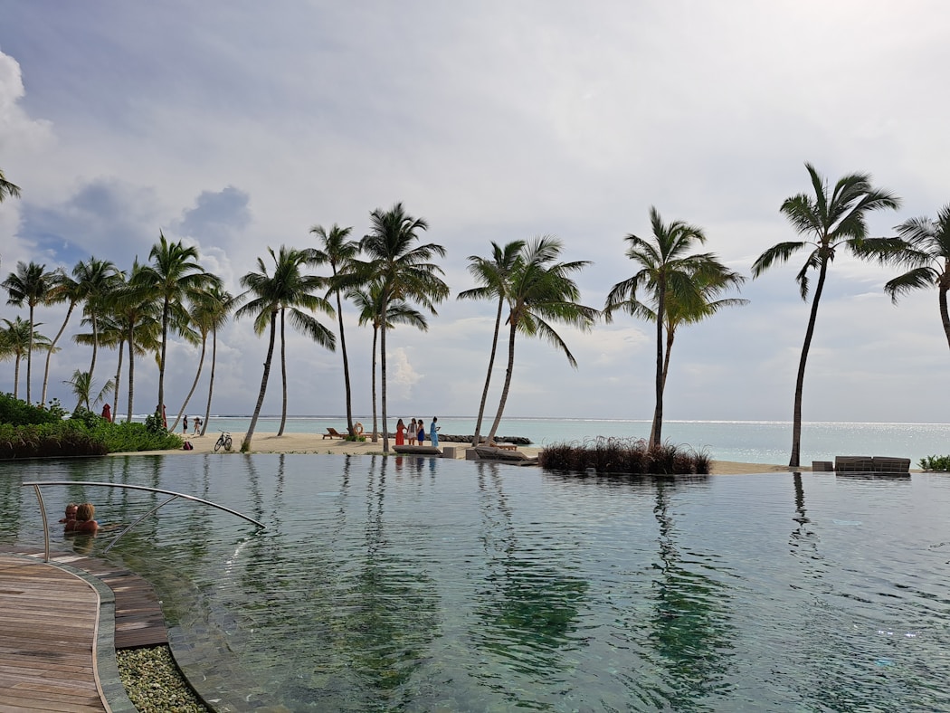 Playa y piscina de resort