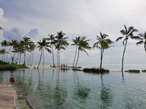 A serene beachfront scene with tall palm trees lining the sandy shore next to a clear, reflective pool. People are leisurely walking and sitting by the water, suggesting a relaxing atmosphere. The sky is partly cloudy, with soft sunlight filtering through.