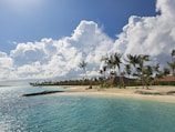 A scenic beach with clear blue water and palm trees under a bright sky.