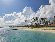 A tropical beach with clear blue water and palm trees.