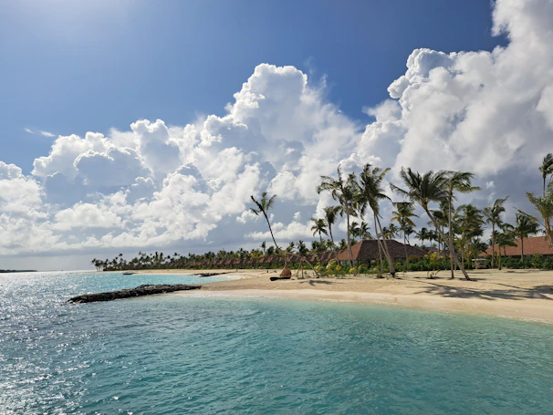 A vibrant tropical beach scene with palm trees and clear blue water.