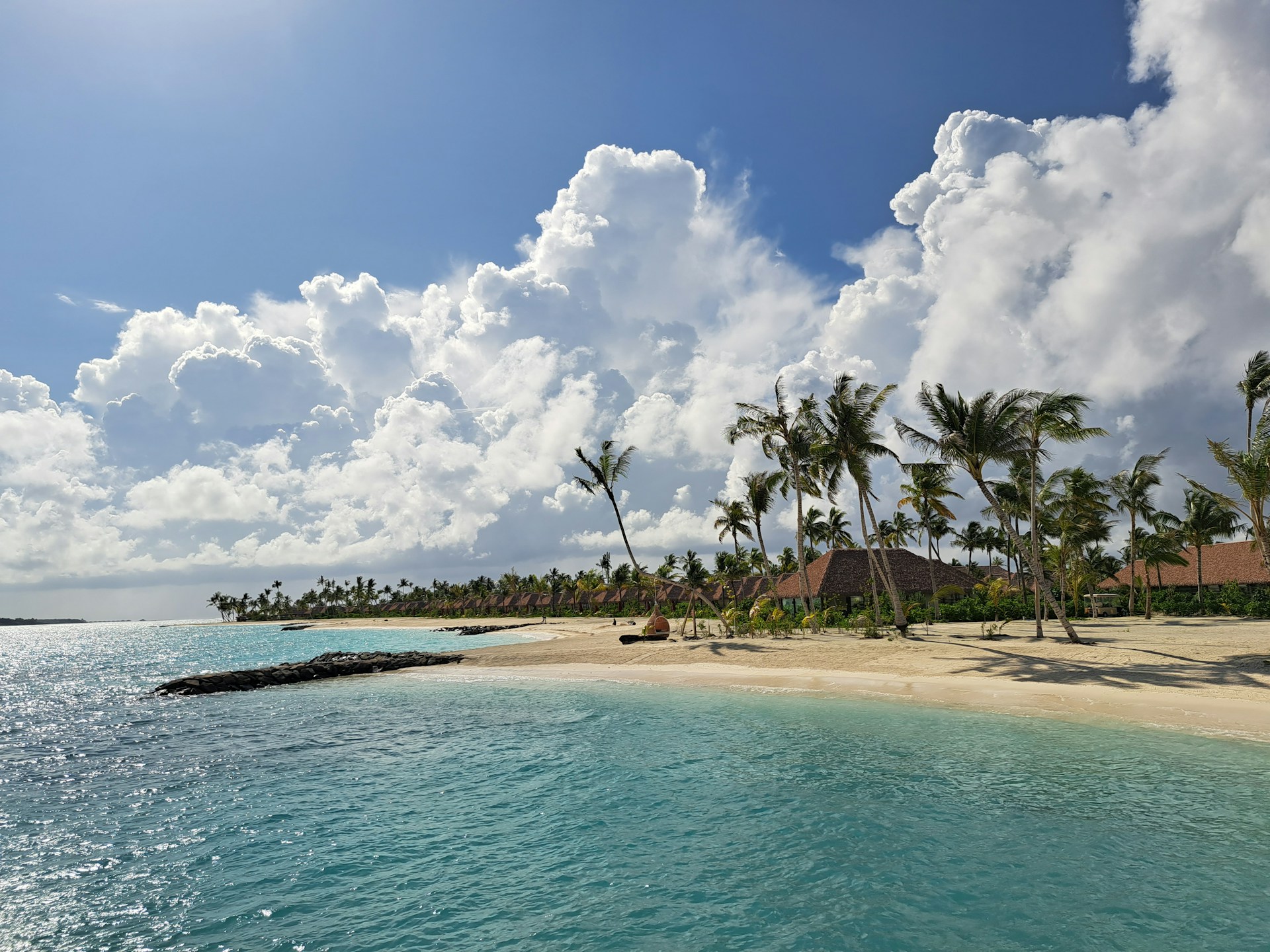 Sunlit tropical beach with gentle waves and palm trees swaying under a clear blue sky.