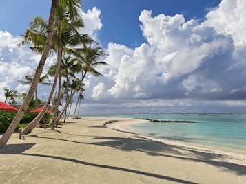 A sandy beach lined with tall, slightly leaning palm trees under a vibrant blue sky filled with large, fluffy clouds. The turquoise sea gently laps at the shore, and red-roofed structures are nestled among lush greenery to the left.
