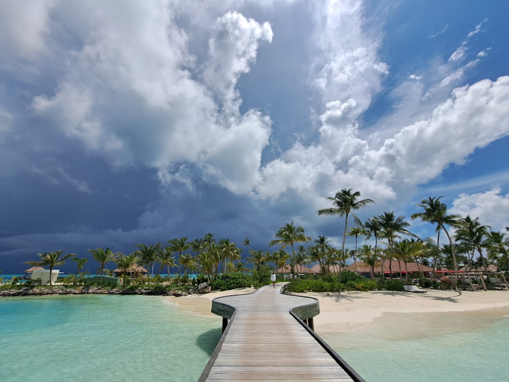 a wooden walkway leading to a beach with palm trees