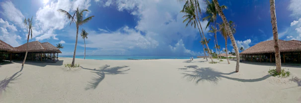 A panoramic view of a tropical island with white sandy beaches and palm trees swaying in the breeze.